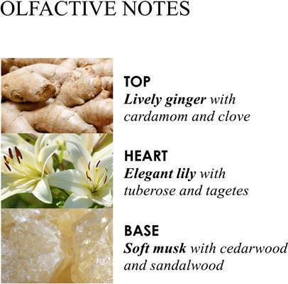 Produktbild Molton Brown Heavenly Gingerlily (Flüssigseife, 300 ml)