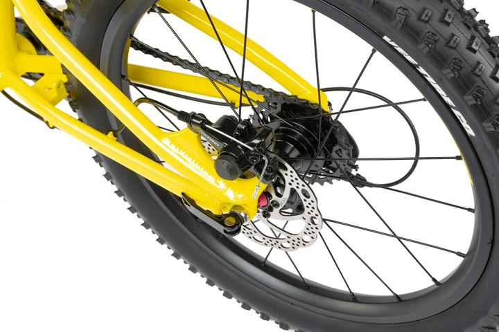 Actual product image Radio Bikes Zuma (24")