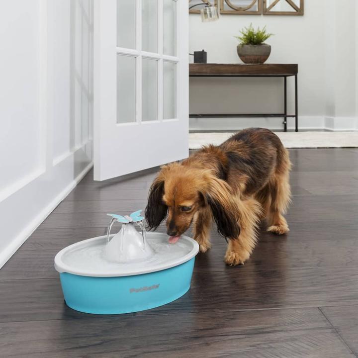 Image du produit PetSafe Fontaine pour animaux de compagnie Drinkwell® Butterfly (1.50 l)