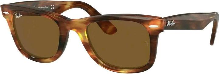 Ray Ban Original Wayfarer Classics