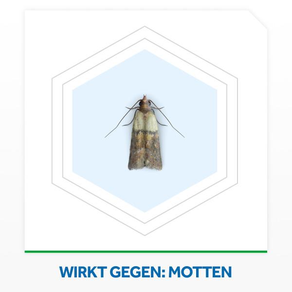 Produktbild Raid Duft-Kissen Lavendel