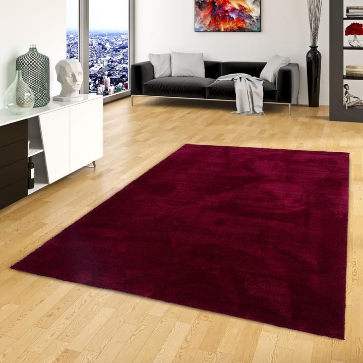 Immagine prodotto Snapstyle Super Soft Hochflorteppich Livorno (100 x 300 cm)