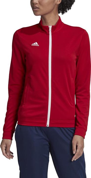 Actual product image adidas Entrada 22 women's training jacket (S)