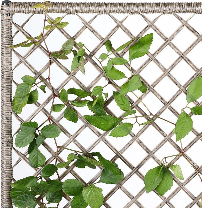 Actual product image Casaria Flower box (64 cm)