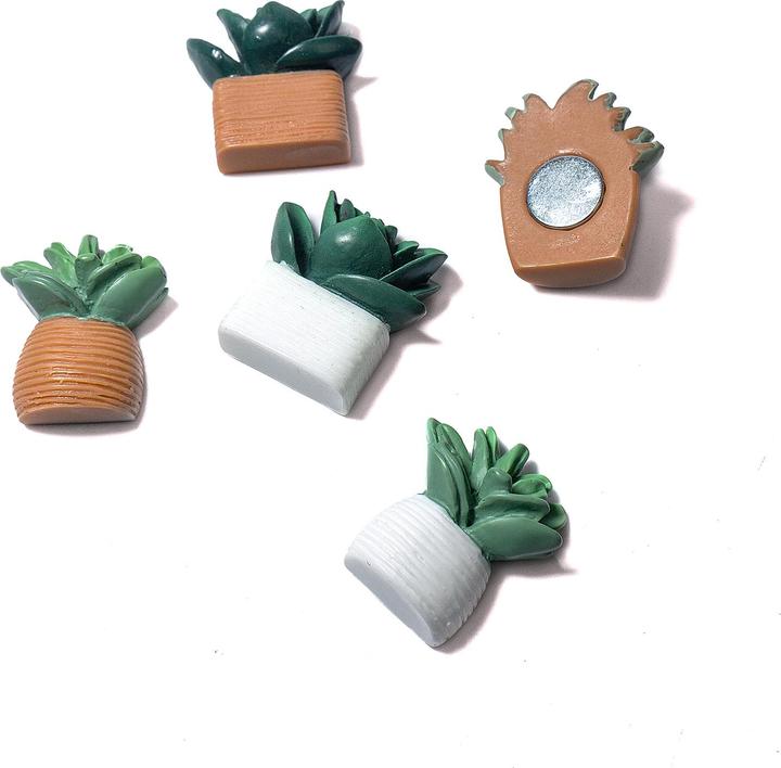 Actual product image Trendform Cactus (5 x)