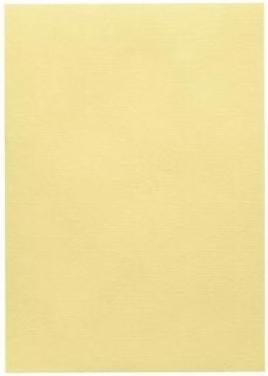 Actual product image Artoz 1001 A4 100g chamois (100 g/m², 5 x, A4)