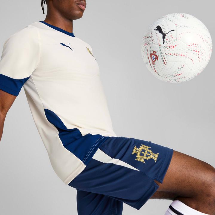 Produktbild Puma FPF Training Shorts (M)