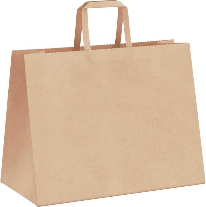 Image du produit VidaXL Sacs en papier kraft 50 pcs. avec anse marron 32x17x25 cm Sac en papier (Pochette cadeau, 50 x)