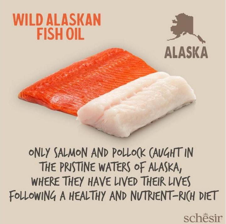 Actual product image Grizzly Wild Salmon Oil Salmon Plus (Senior, Adult, 1 pcs., 270 g)