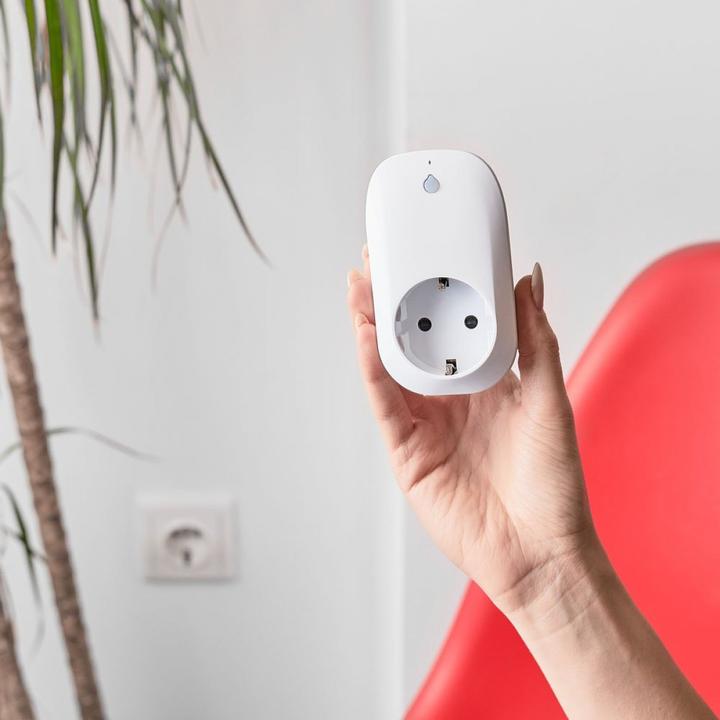 Actual product image Shelly Plug