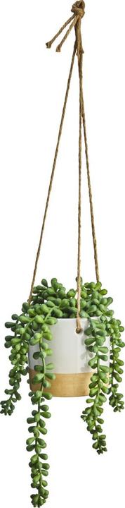 Image du produit micasa Senecio (48 cm)