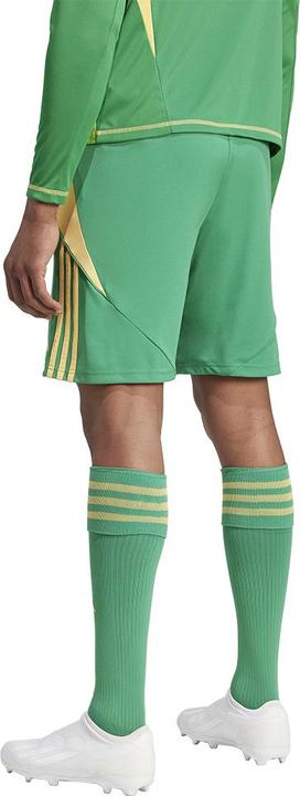 Produktbild adidas TIRO24 SHORT (L)