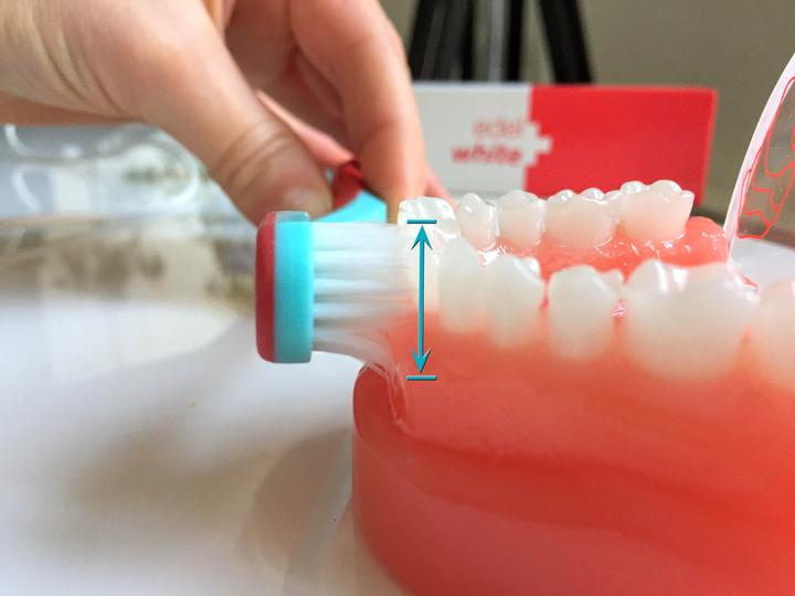 Actual product image Edel + White Pro Gums Toothbrush - XXL Brush Head (Extra soft, 1 x)