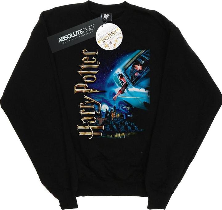 Actual product image Womens/Ladies Smiles At Hogwarts Sweatshirt (L)