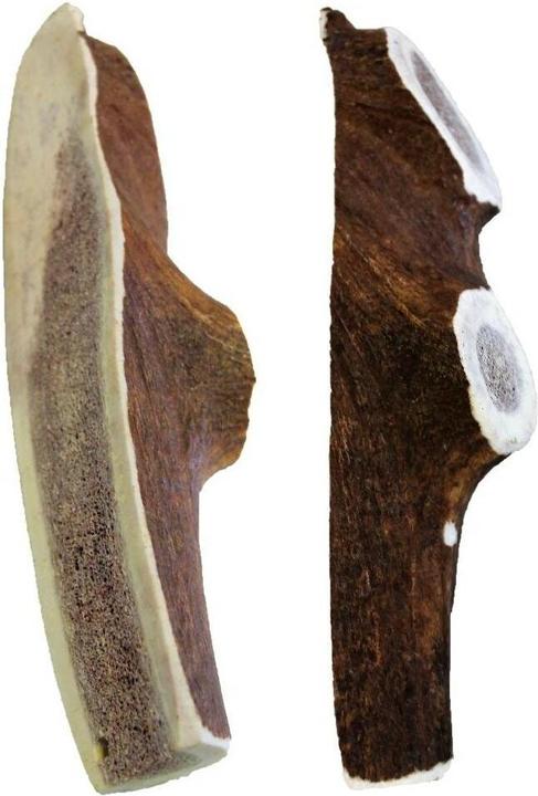 Actual product image Kyli Deer Antlers Red Deer (Adult, 1 pcs., 160 g)