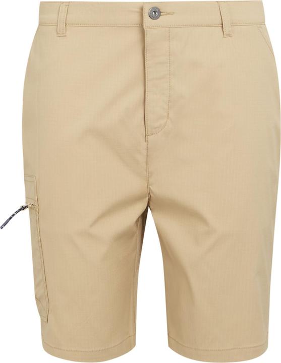 Regatta Dalry Shorts