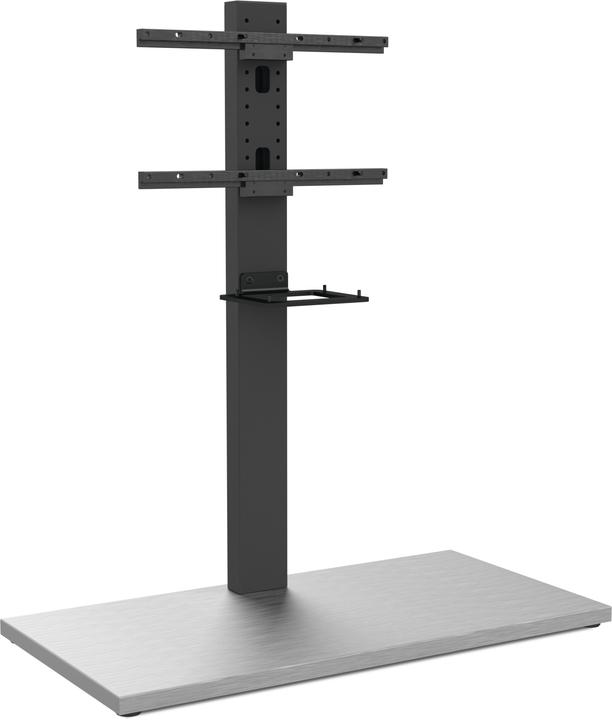 TechniSat 2020/2790 (Universel, 65", 35 kg)