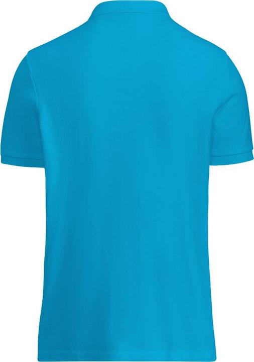 Immagine prodotto Henbury Polo Shirt (L)