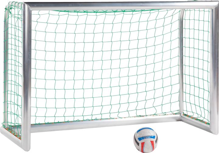 Sport-Thieme Mini-Trainingstor Professional