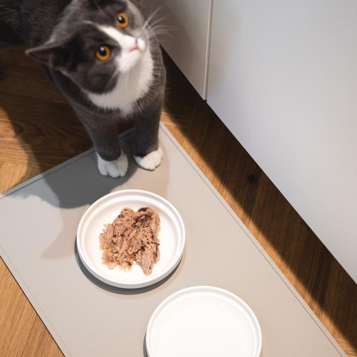 Image du produit LucyBalu BOWL Porzellan Katzennapf