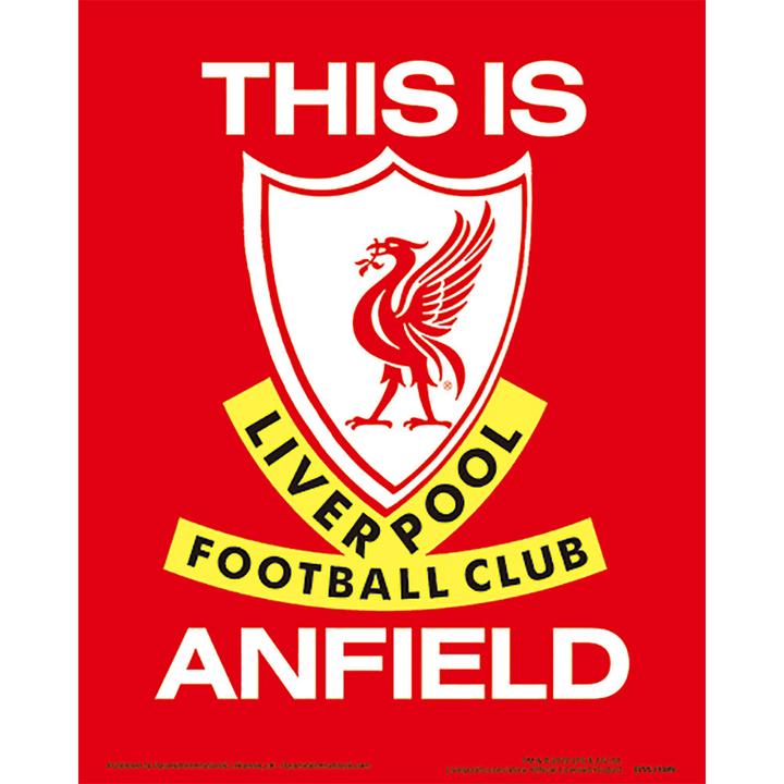 Produktbild Score Draw bedruckt Anfield Stadium 3D