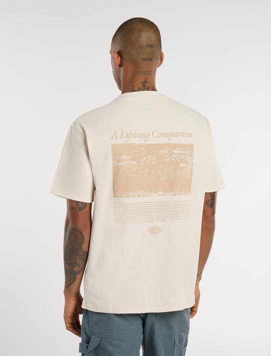 Produktbild Dickies Companion Script SS Tee (S)