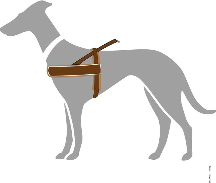 Actual product image Hunter Norwegian harness (Dog)