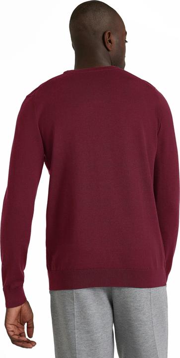 Produktbild Falke BA V-Neck m (S)