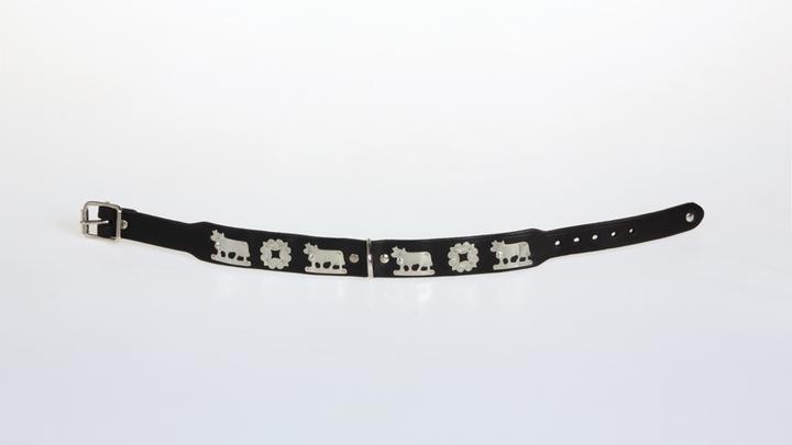 Actual product image Jenni Hemden Appenzeller dog collar (45, Dog, Walks)