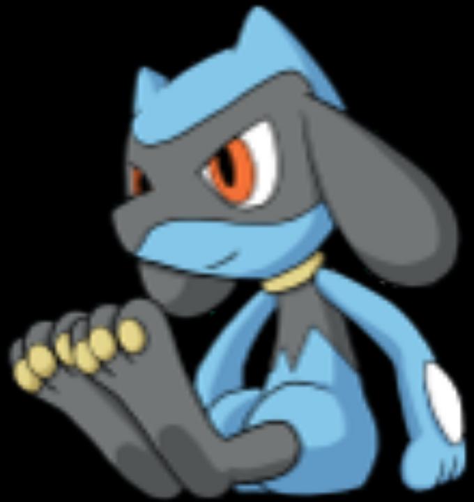 Actual product image Jazwares Pokémon vinyl figures ass ca Wave