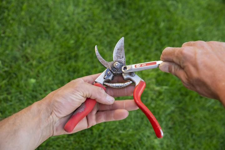Image du produit Felco 905