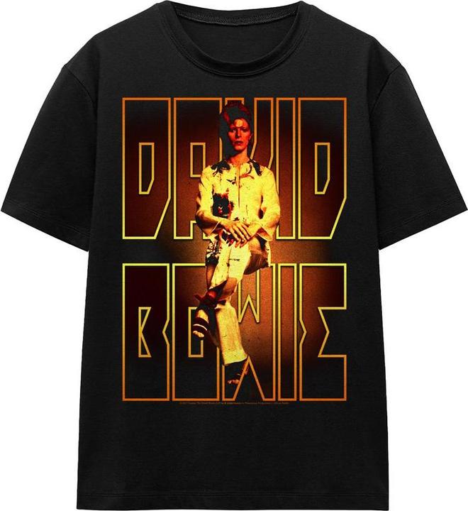 Produktbild David Bowie Perched TShirt (L)