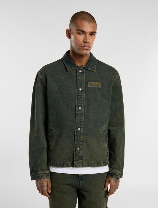 Actual product image Dickies Lewistown (S)