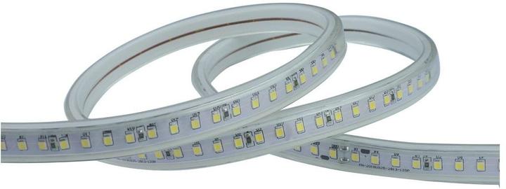 Immagine prodotto Elbro Striscia luminosa a LED sulla bobina (Bianco freddo, 5000 cm, Esterno, Interno)