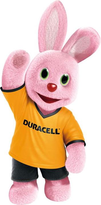 Immagine prodotto Duracell Plus Power (16 pz., AAA)