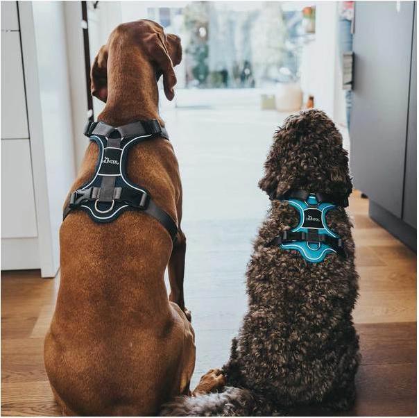 Produktbild Hunter Geschirr Divo (L, Hund, Allgemein)