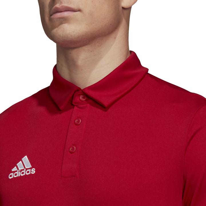 Actual product image adidas Entrada 22 polo shirt men (XS)