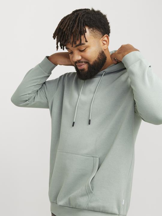 Produktbild Jack & Jones Jjebradley Sweat Hood Noos Pls (XXL)
