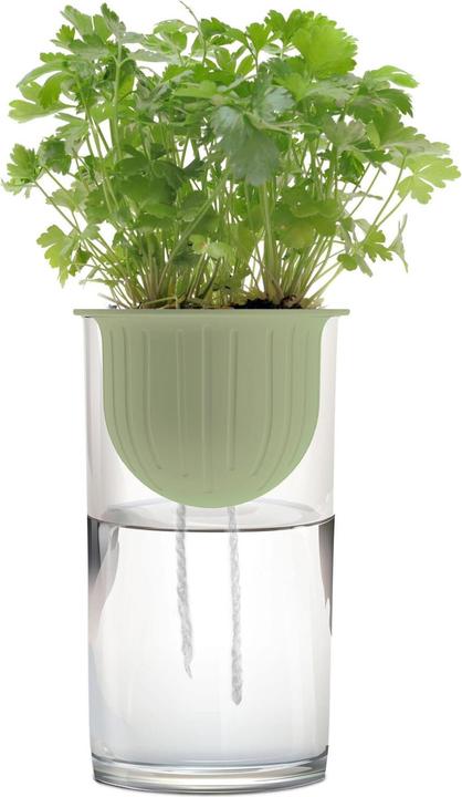 Actual product image Romberg Hydro Plant Kit (9 cm)