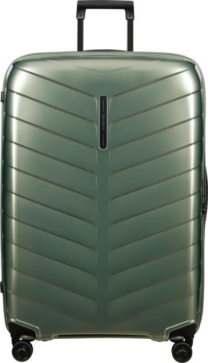 Basil green