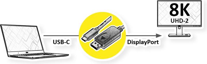 Immagine prodotto Roline Cavo adattatore USB tipo C-DP 1m v1.4 8K60Hz ST/ST (USB-C, 100 cm)