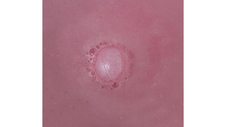 Actual product image TOP Rose wine bath bombs (Bath bombs)