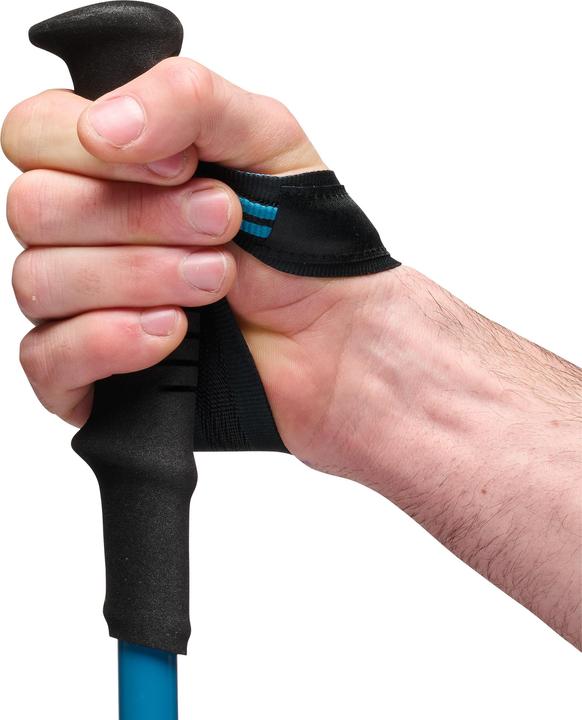 Actual product image Black Diamond Trekkingst?cke Distance Carbon Z (anthrazit/blau, 1 Paar, 110 cm) (110 cm)