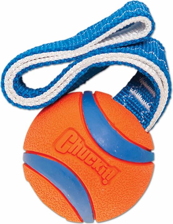 Actual product image Chuckit! Ball on a rope szarpak 5 cm for a dog (Dog chew toy)