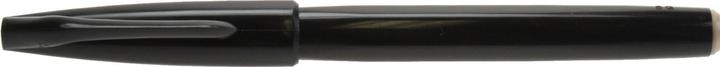 Actual product image Pentel sign pen (Black, 1 x)