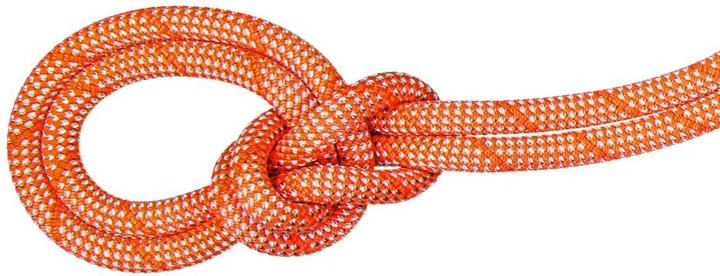 Produktbild Mammut 9.8 Crag Classic Kletterseil (50 m)