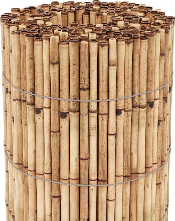Produktbild Casa.Pro Allzio (100 cm)