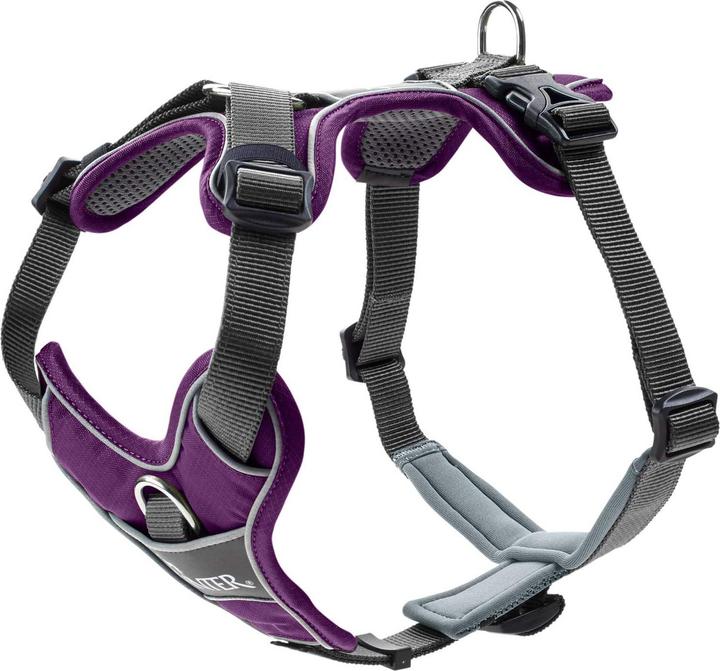 Grey, Violet