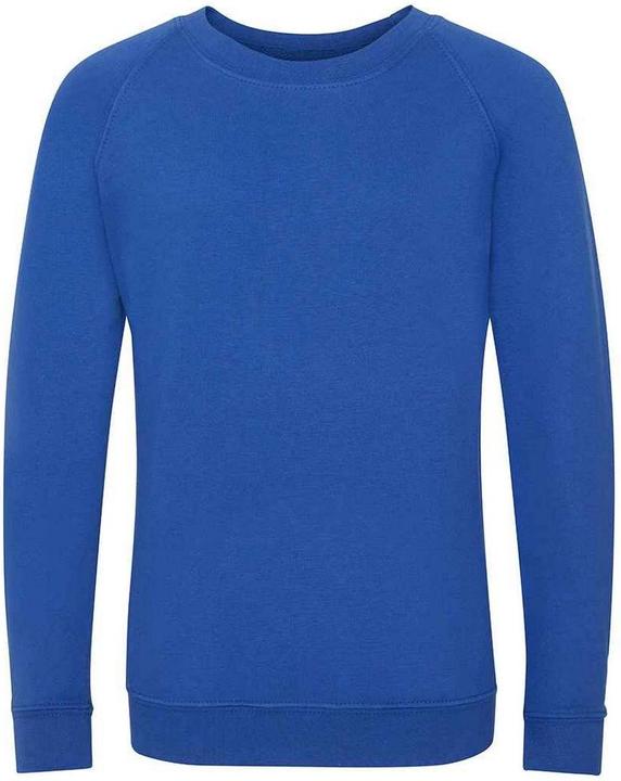 Immagine prodotto Awdis Academy Felpa Raglan Bambini (146, 152)