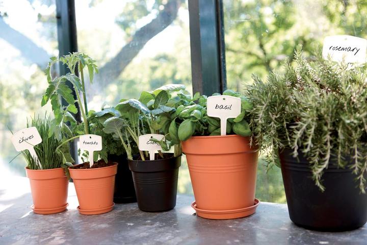 Produktbild Elho Green Basics (17 cm)